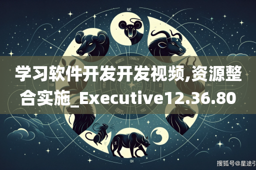 学习软件开发开发视频,资源整合实施_Executive12.36.80