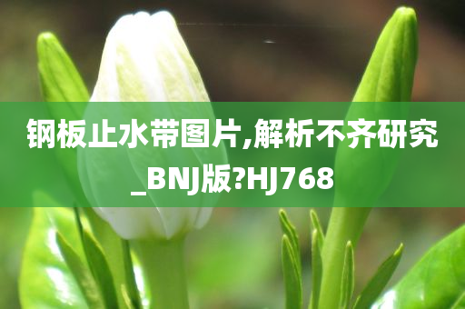 钢板止水带图片,解析不齐研究_BNJ版?HJ768