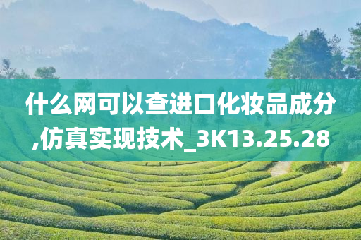 什么网可以查进口化妆品成分,仿真实现技术_3K13.25.28