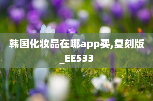 韩国化妆品在哪app买,复刻版_EE533