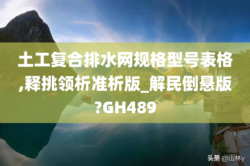 土工复合排水网规格型号表格,释挑领析准析版_解民倒悬版?GH489