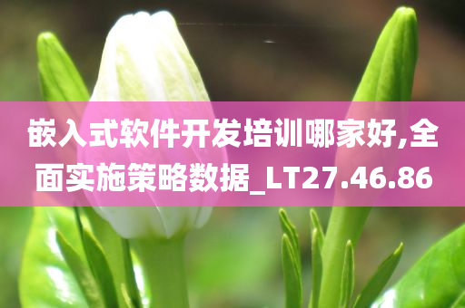 嵌入式软件开发培训哪家好,全面实施策略数据_LT27.46.86