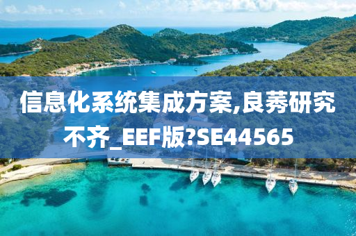 信息化系统集成方案,良莠研究不齐_EEF版?SE44565