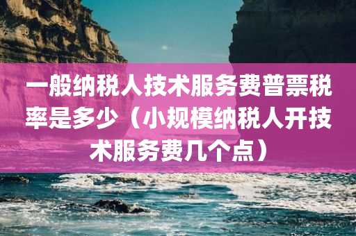 一般纳税人技术服务费普票税率是多少（小规模纳税人开技术服务费几个点）