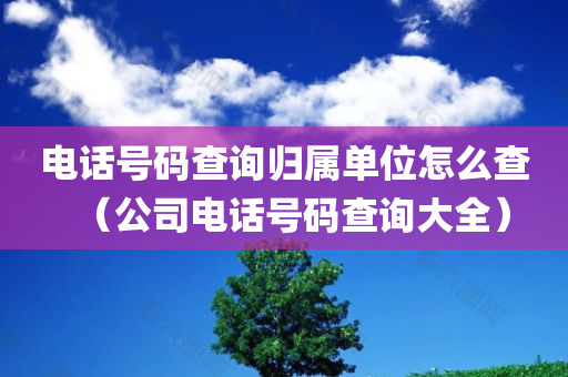 电话号码查询归属单位怎么查（公司电话号码查询大全）