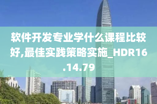 软件开发专业学什么课程比较好,最佳实践策略实施_HDR16.14.79