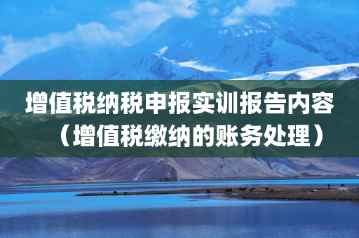 增值税纳税申报实训报告内容（增值税缴纳的账务处理）