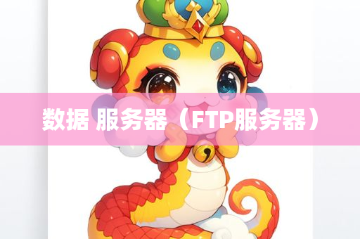 数据 服务器（FTP服务器）