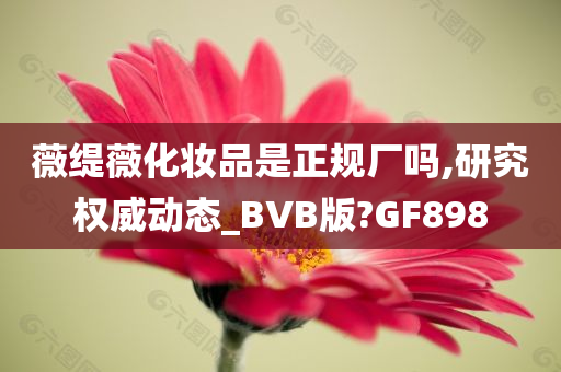 薇缇薇化妆品是正规厂吗,研究权威动态_BVB版?GF898