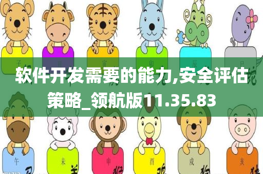 软件开发需要的能力,安全评估策略_领航版11.35.83