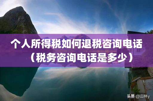 个人所得税如何退税咨询电话（税务咨询电话是多少）