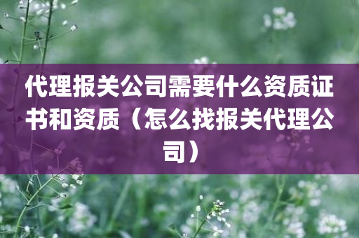 代理报关公司需要什么资质证书和资质（怎么找报关代理公司）