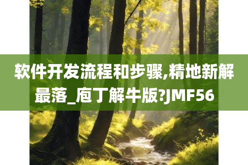 软件开发流程和步骤,精地新解最落_庖丁解牛版?JMF56