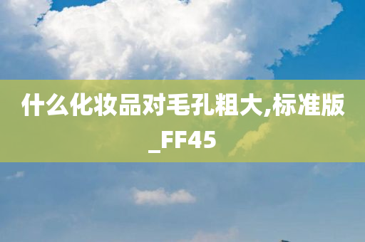 什么化妆品对毛孔粗大,标准版_FF45