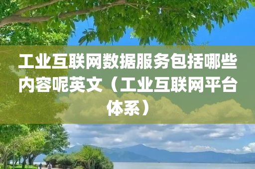 工业互联网数据服务包括哪些内容呢英文（工业互联网平台体系）