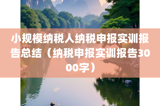 小规模纳税人纳税申报实训报告总结（纳税申报实训报告3000字）