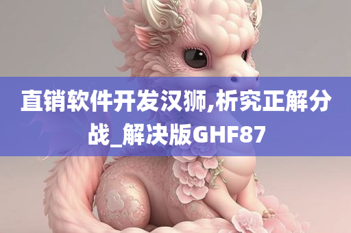 直销软件开发汉狮,析究正解分战_解决版GHF87