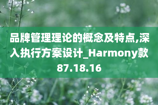 品牌管理理论的概念及特点,深入执行方案设计_Harmony款87.18.16