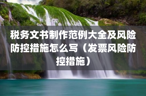 税务文书制作范例大全及风险防控措施怎么写（发票风险防控措施）