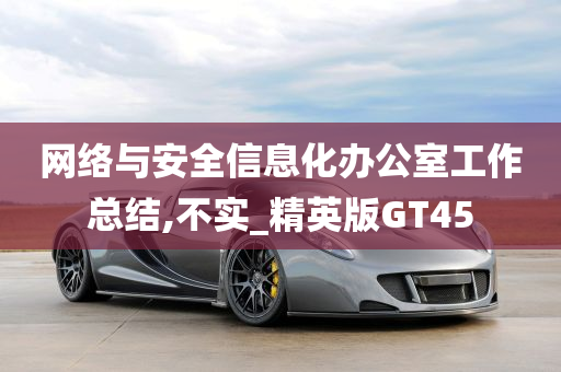 网络与安全信息化办公室工作总结,不实_精英版GT45