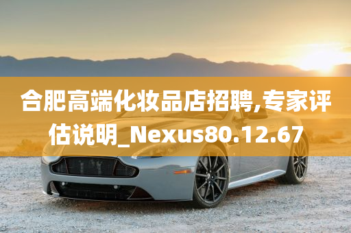 合肥高端化妆品店招聘,专家评估说明_Nexus80.12.67