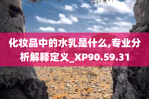 化妆品中的水乳是什么,专业分析解释定义_XP90.59.31