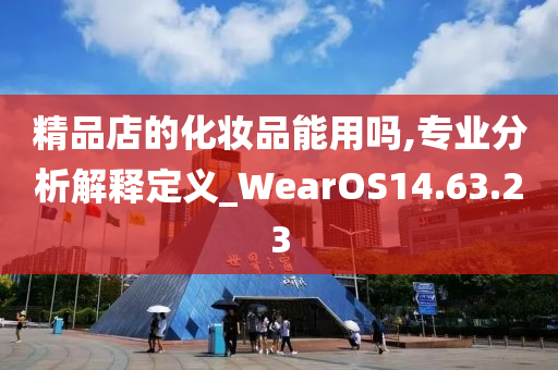 精品店的化妆品能用吗,专业分析解释定义_WearOS14.63.23