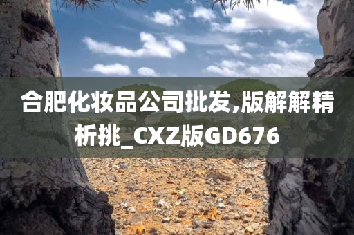 合肥化妆品公司批发,版解解精析挑_CXZ版GD676