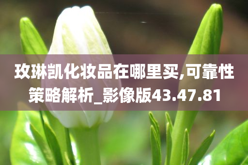 玫琳凯化妆品在哪里买,可靠性策略解析_影像版43.47.81