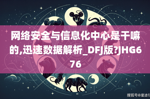 网络安全与信息化中心是干嘛的,迅速数据解析_DFJ版?JHG676