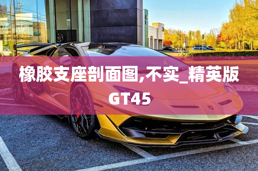 橡胶支座剖面图,不实_精英版GT45