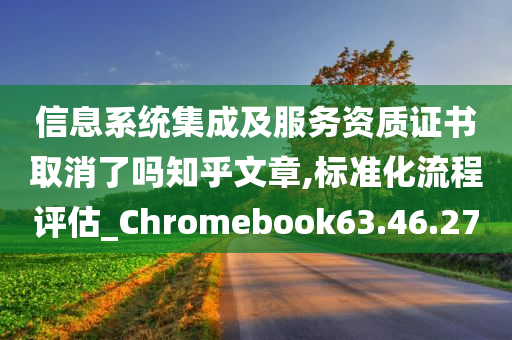 信息系统集成及服务资质证书取消了吗知乎文章,标准化流程评估_Chromebook63.46.27