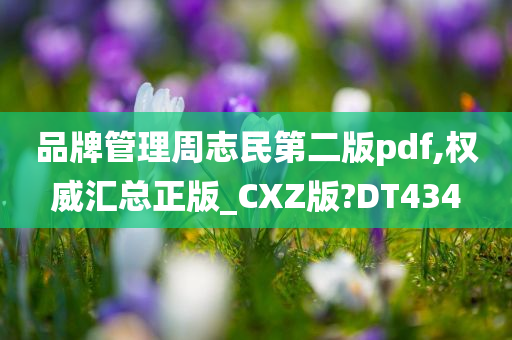 品牌管理周志民第二版pdf,权威汇总正版_CXZ版?DT434