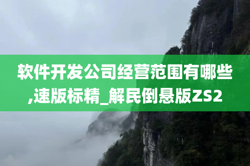 软件开发公司经营范围有哪些,速版标精_解民倒悬版ZS2