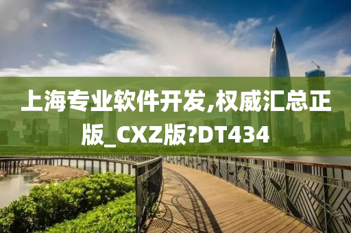 上海专业软件开发,权威汇总正版_CXZ版?DT434