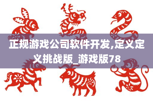 正规游戏公司软件开发,定义定义挑战版_游戏版78