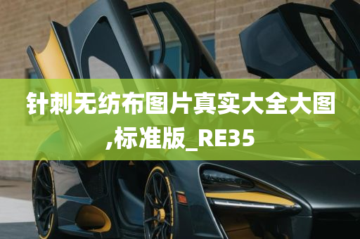 针刺无纺布图片真实大全大图,标准版_RE35