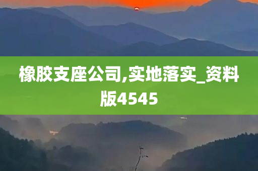 橡胶支座公司,实地落实_资料版4545