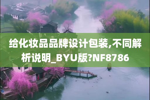 给化妆品品牌设计包装,不同解析说明_BYU版?NF8786