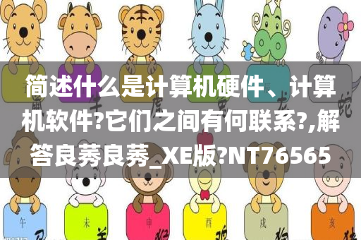 简述什么是计算机硬件、计算机软件?它们之间有何联系?,解答良莠良莠_XE版?NT76565