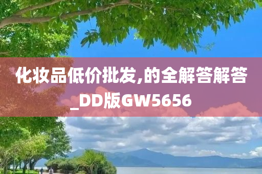 化妆品低价批发,的全解答解答_DD版GW5656