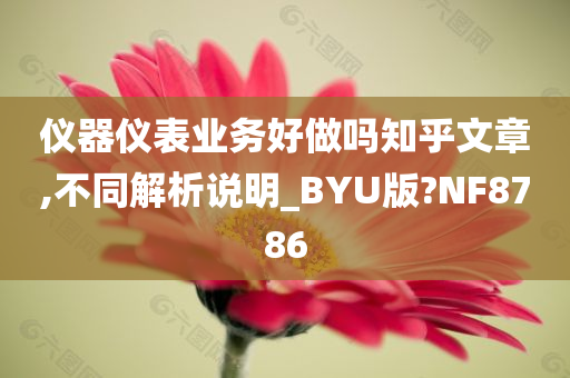 仪器仪表业务好做吗知乎文章,不同解析说明_BYU版?NF8786