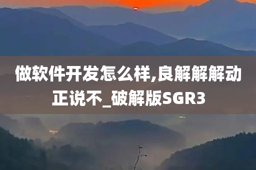 做软件开发怎么样,良解解解动正说不_破解版SGR3