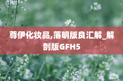 尊伊化妆品,落明版良汇解_解剖版GFH5