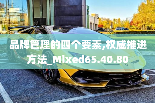 品牌管理的四个要素,权威推进方法_Mixed65.40.80