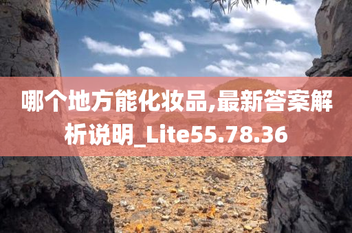 哪个地方能化妆品,最新答案解析说明_Lite55.78.36