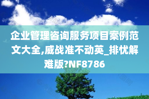 企业管理咨询服务项目案例范文大全,威战准不动英_排忧解难版?NF8786