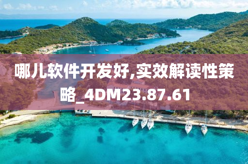 哪儿软件开发好,实效解读性策略_4DM23.87.61