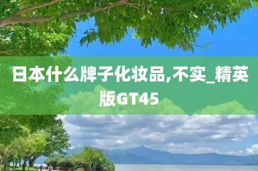 日本什么牌子化妆品,不实_精英版GT45