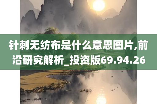 针刺无纺布是什么意思图片,前沿研究解析_投资版69.94.26